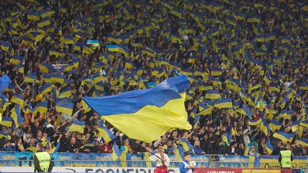 Матч Україна-Боснія пройде в Києві: названо причину - 285x160