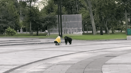 Харковом бігає мавпа, яка втекла з зоопарку: її вмовляють повернутися (відео) - 285x160