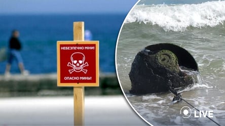 Небезпечне узбережжя: на одеському пляжі підірвали міну, яку прибило штормом - 285x160
