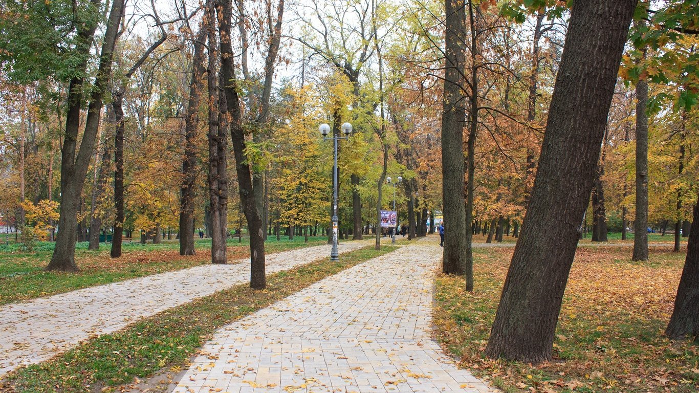 Мама загубила дитину з аутизмом у київському парку - фото