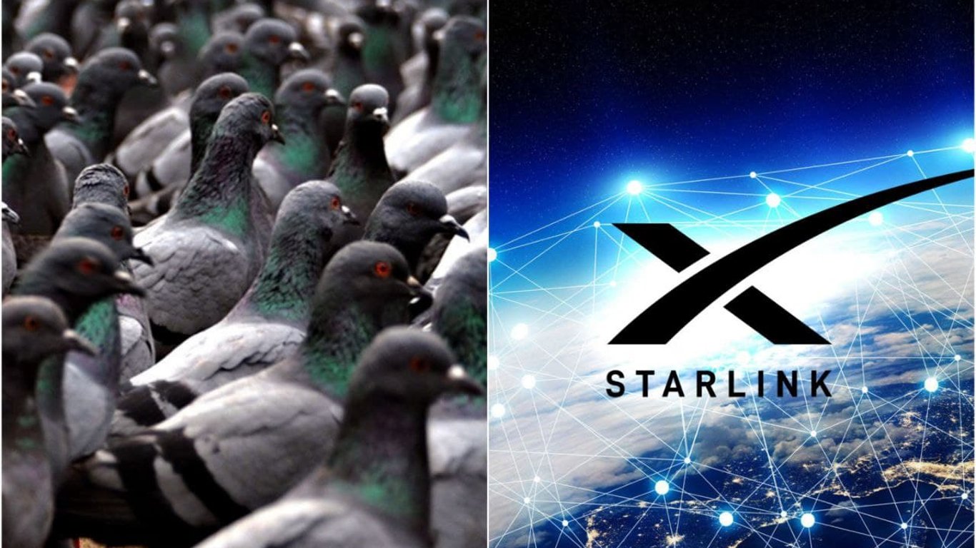 Эксперты назвали причину сбоя в работе спутникового интернета Starlink