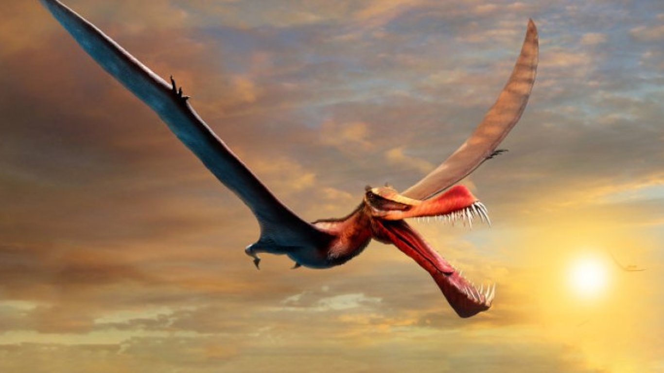 В Австралії досліджують кістки гігантської летючої рептилії