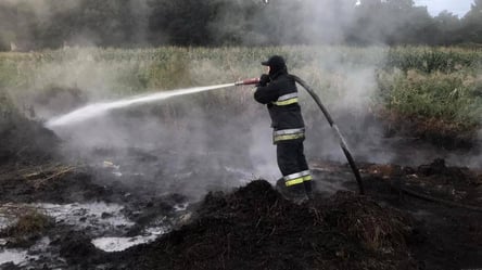 Киев снова заполонил запах гари: что говорят спасатели - 285x160