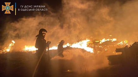 Под Одессой сгорели два недостроенных дома. Фото, видео - 285x160