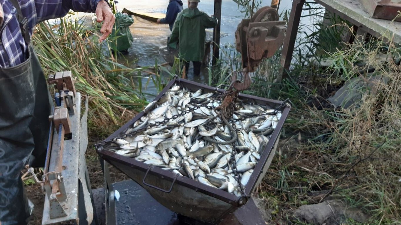 Під Одесою зариблюють озера - заселили понад 63 тони мальків