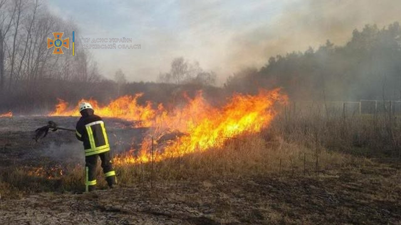 На Харківщині за підпал трави Держекоінспекція виписала штрафів на 40 тис