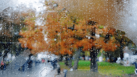 На Сході будуть дощі: прогноз погоди на 6 листопада в Україні - 285x160
