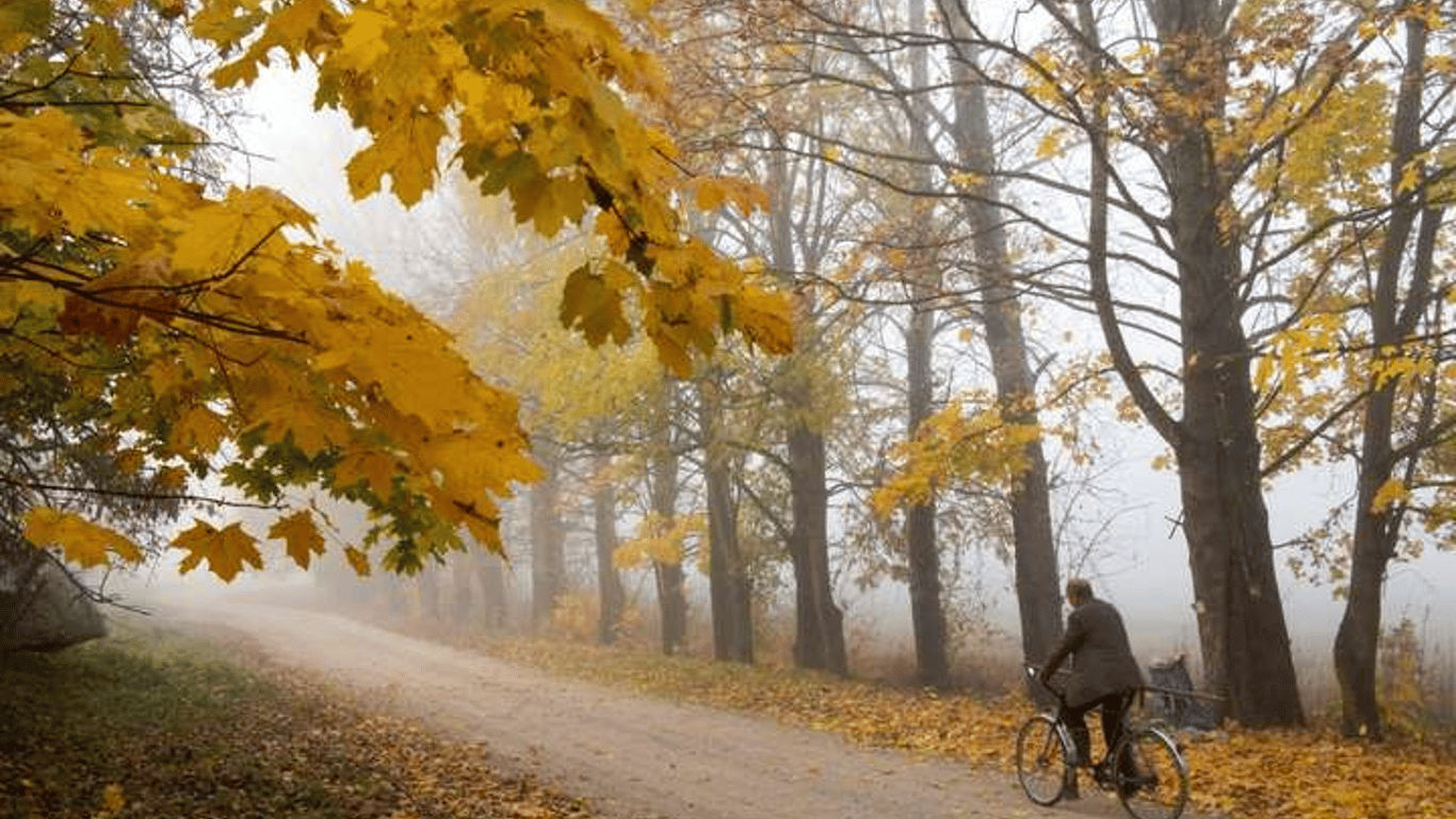 Прогноз погоди в Україні на сьогодні 19 жовтня - Київ та регіони