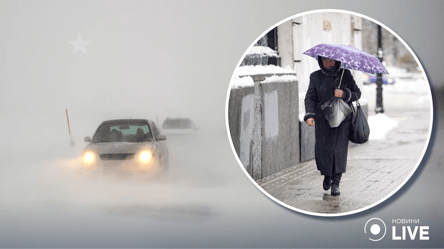 Туманы, снег, но не морозно: народный синоптик рассказала о погоде на выходные - 285x160
