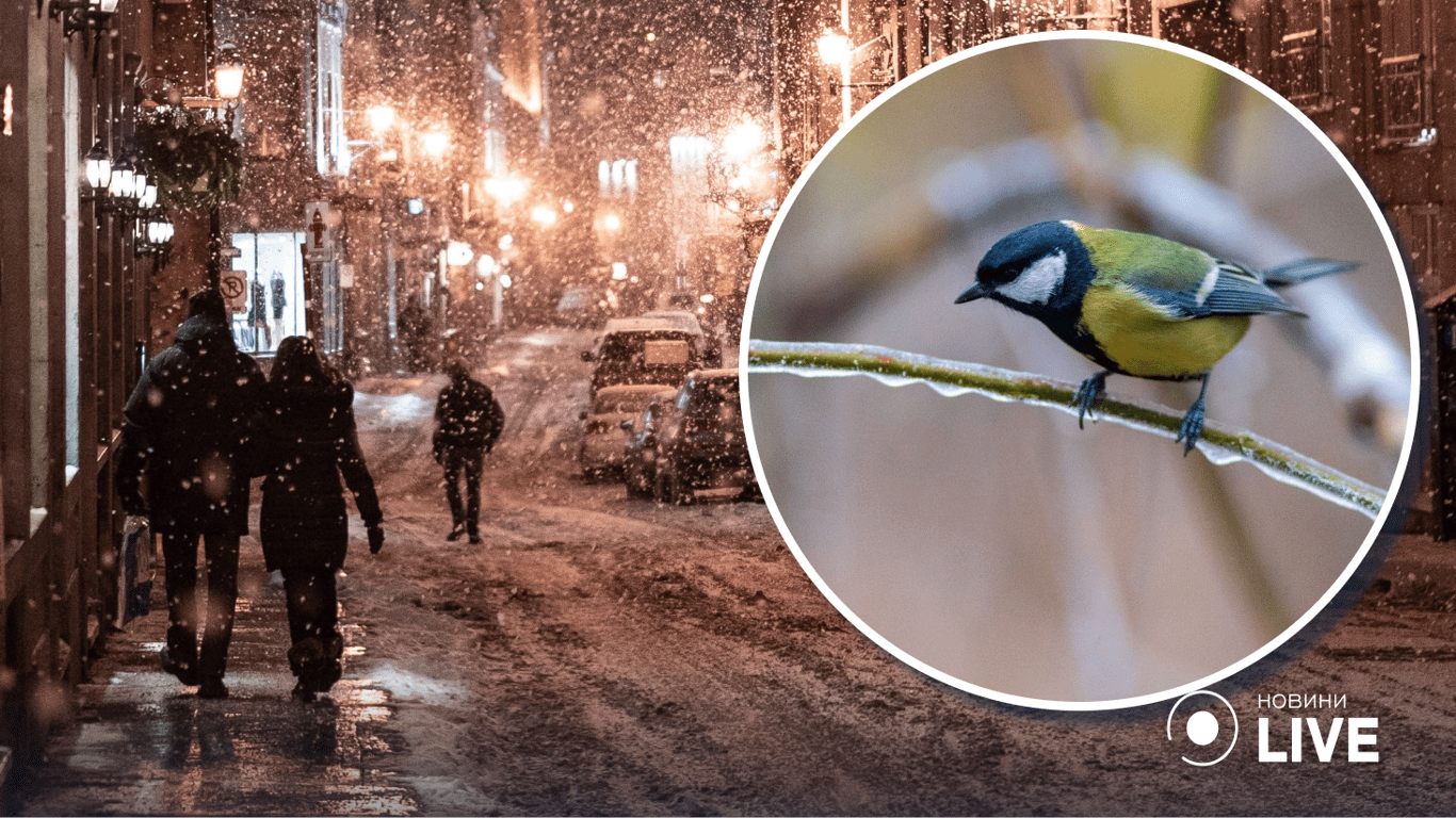 Когда в Украине выпадет первый снег: в Укргидрометцентре дали прогноз погоды
