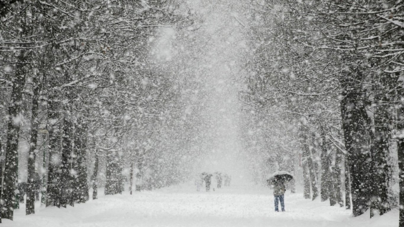 Погода в Киеве на 28 декабря – сильный снег и мороз накроет столицу