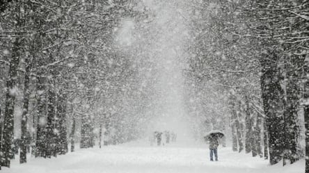 Метели и мороз: какой будет погода в Киеве 28 декабря - 285x160