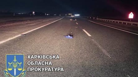 ДТП за участю кортежу Ярославського: поліція встановила особу жертви - 285x160