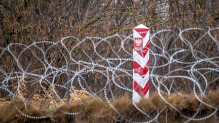 У Польщі прикордонники затримали двох українців: вони допомагали мігрантам з Білорусі - 285x160