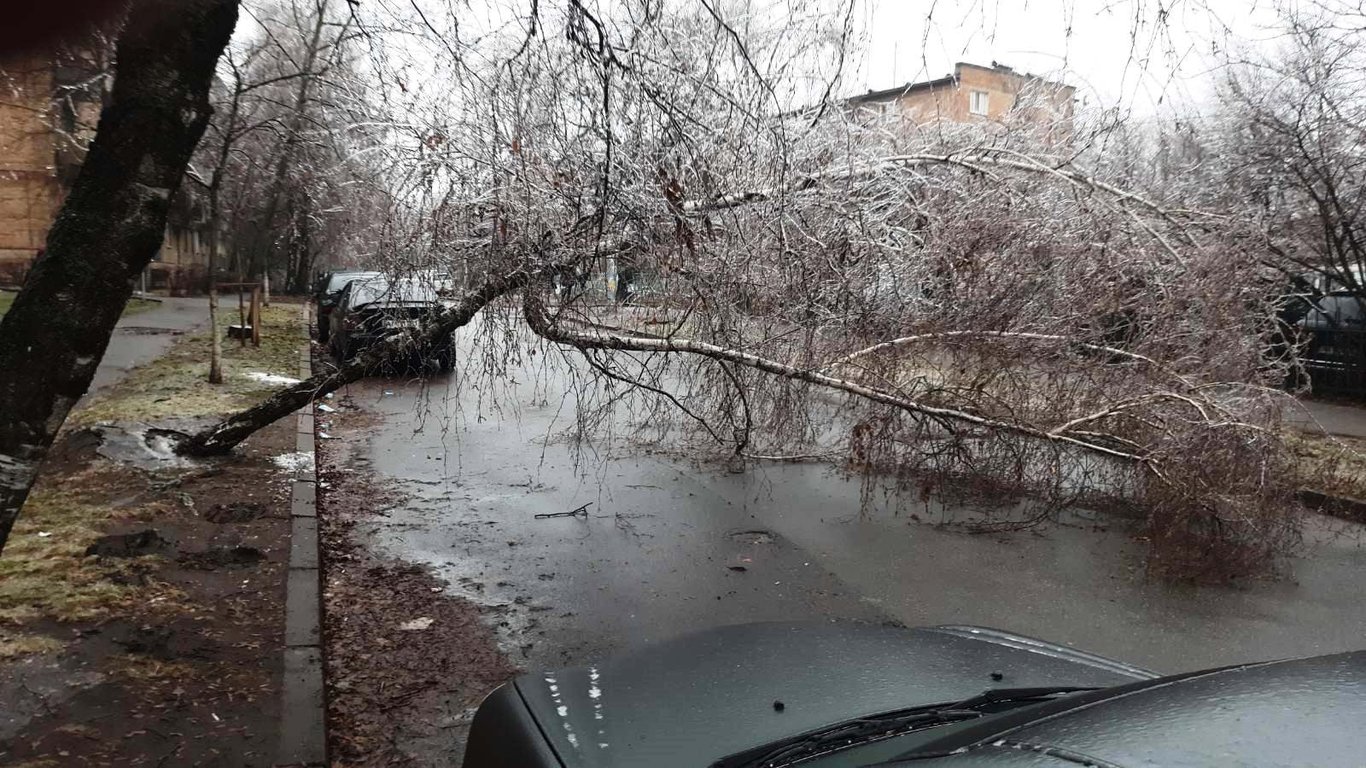 Погода у Києві - у столиці негода знищила майже тисячу дерев - фото