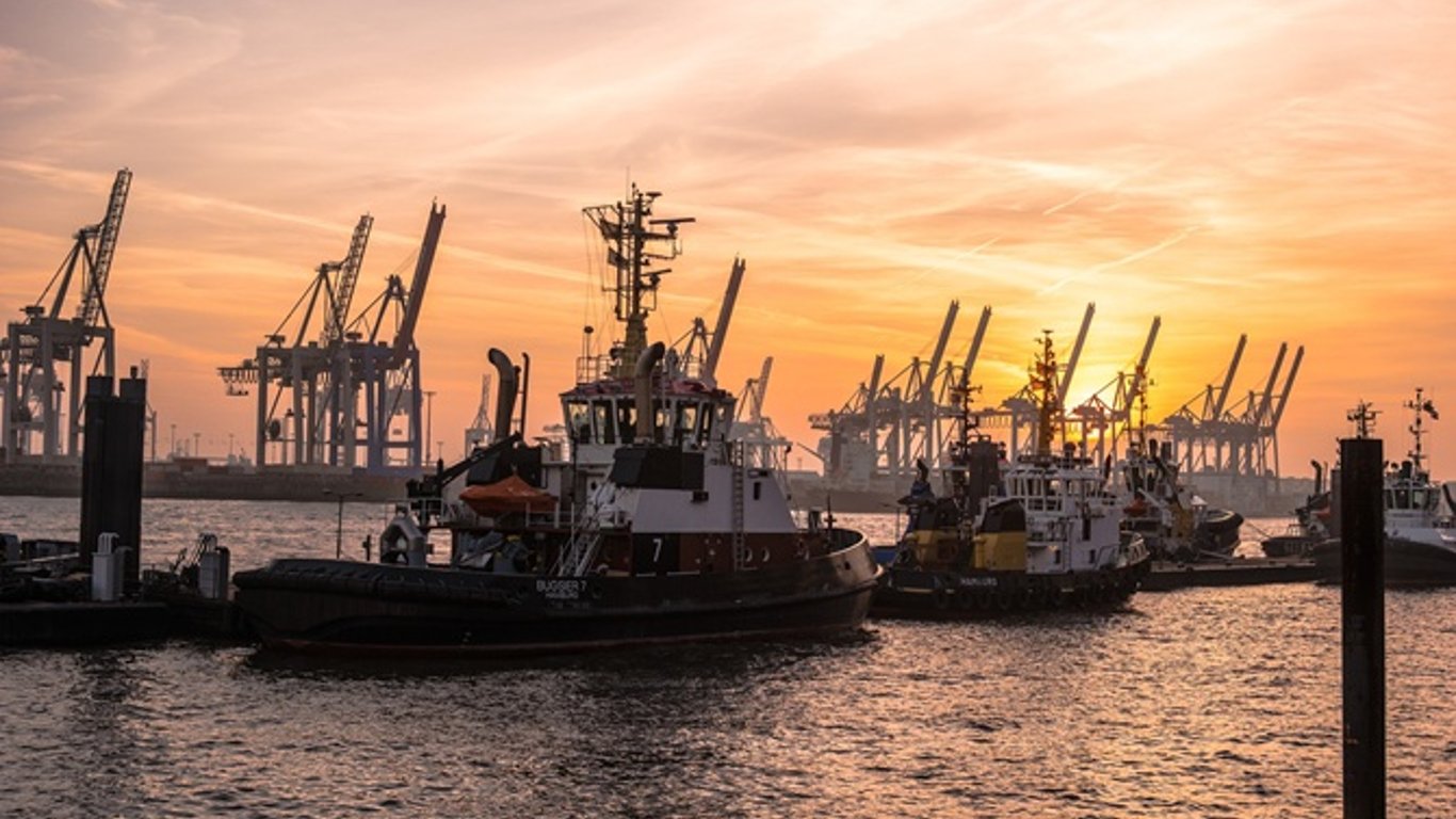 Порт "Південний" хоче придбати два навантажувачі на 300 млн грн