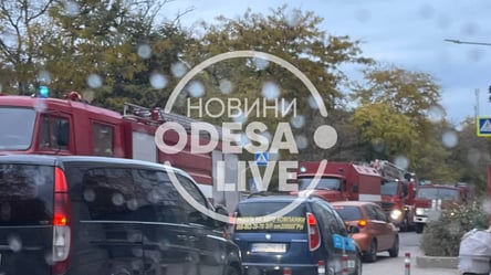 6 пожарных машин и скорые: в Одессе горит жилмасив "Радужный" - 285x160