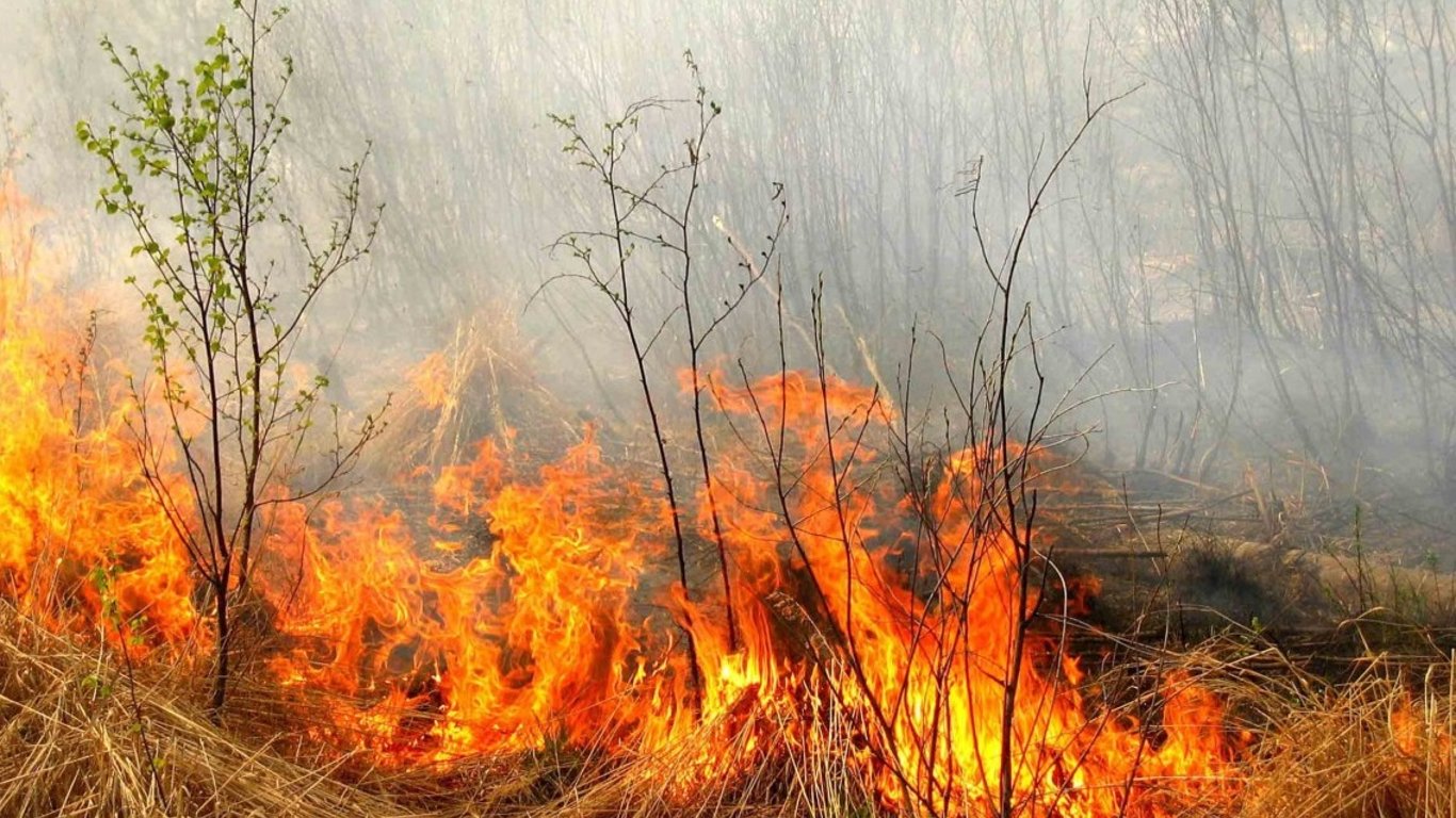 Погода в Україні - в яких регіонах оголосили пожежну небезпеку