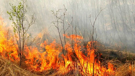В Україні оголосили пожежну небезпеку: яким регіонам загрожує - 285x160