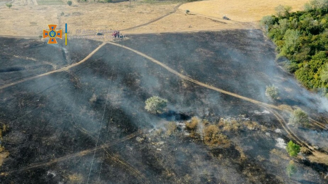Харківські рятувальники прокоментували ситуацію з займанням сухої трави