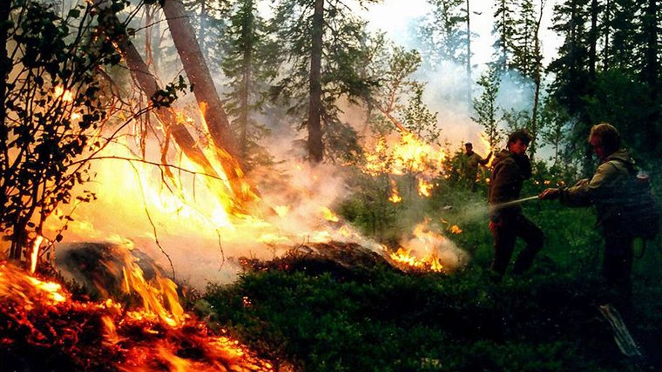 Росія у вогні: площа пожеж збільшилася до 122,5 тис. гектарів, які регіони постраждали