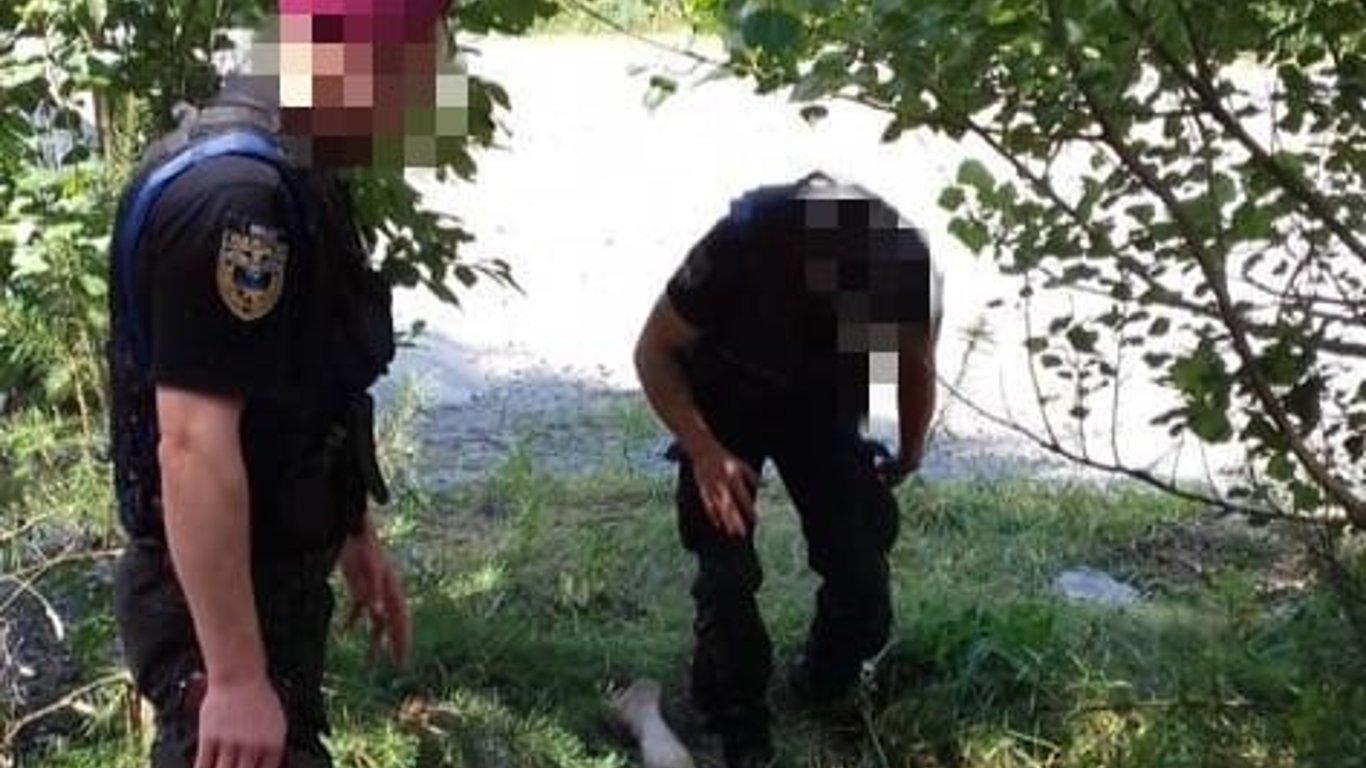 Побиття адвоката під Києвом - двоє правоохоронців сядуть за грати