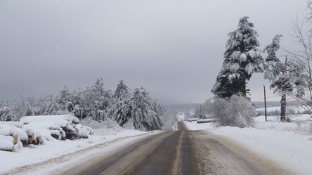 В Україні різко погіршиться погода та піде сніг: синоптики дали прогноз на неділю - 285x160