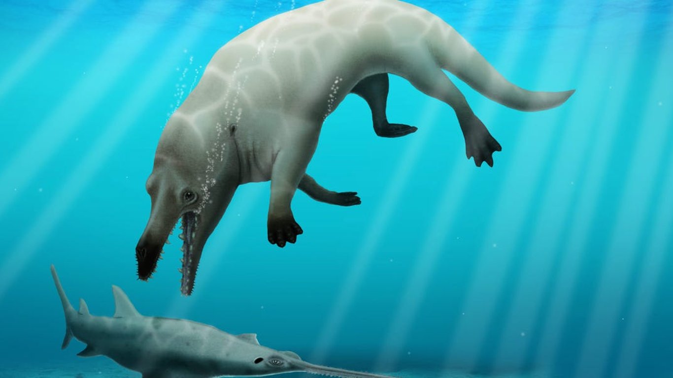 Вчені знайшли скам'янілість  чотириногого кита - вид назвали Phiomicetus anubis