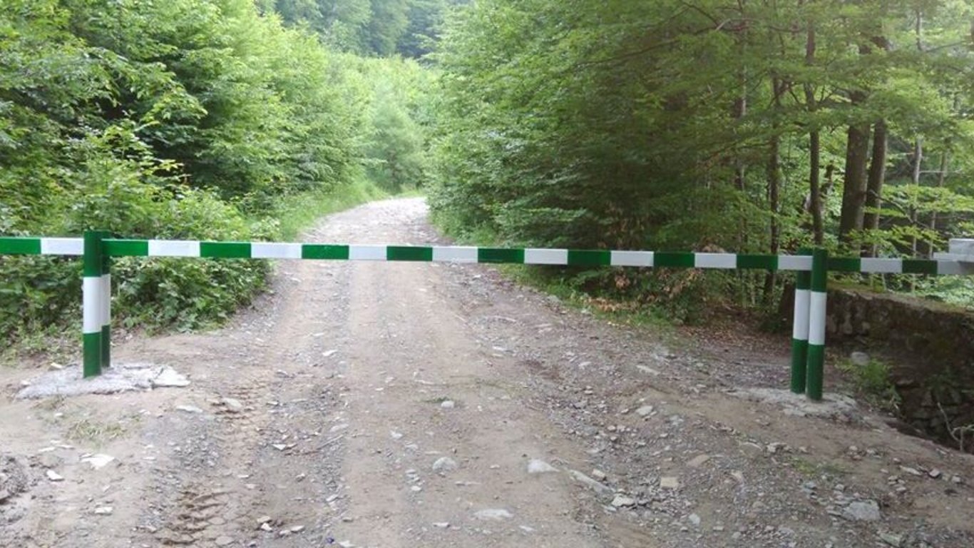 Под Киевом незаконно присвоили 49 га леса