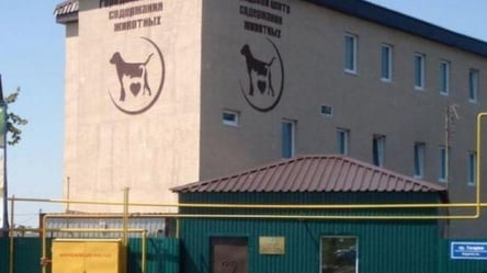 22 мільйони гривень для порятунку тварин: у Харківському притулку зроблять ремонт - 285x160