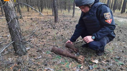 В поле возле Харькова пиротехники ГСЧС нашли 5 снарядов и мину. Фото - 285x160