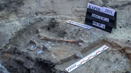На Львовщине археологи нашли предметы времен Римской империи. Фото артефактов - 285x160