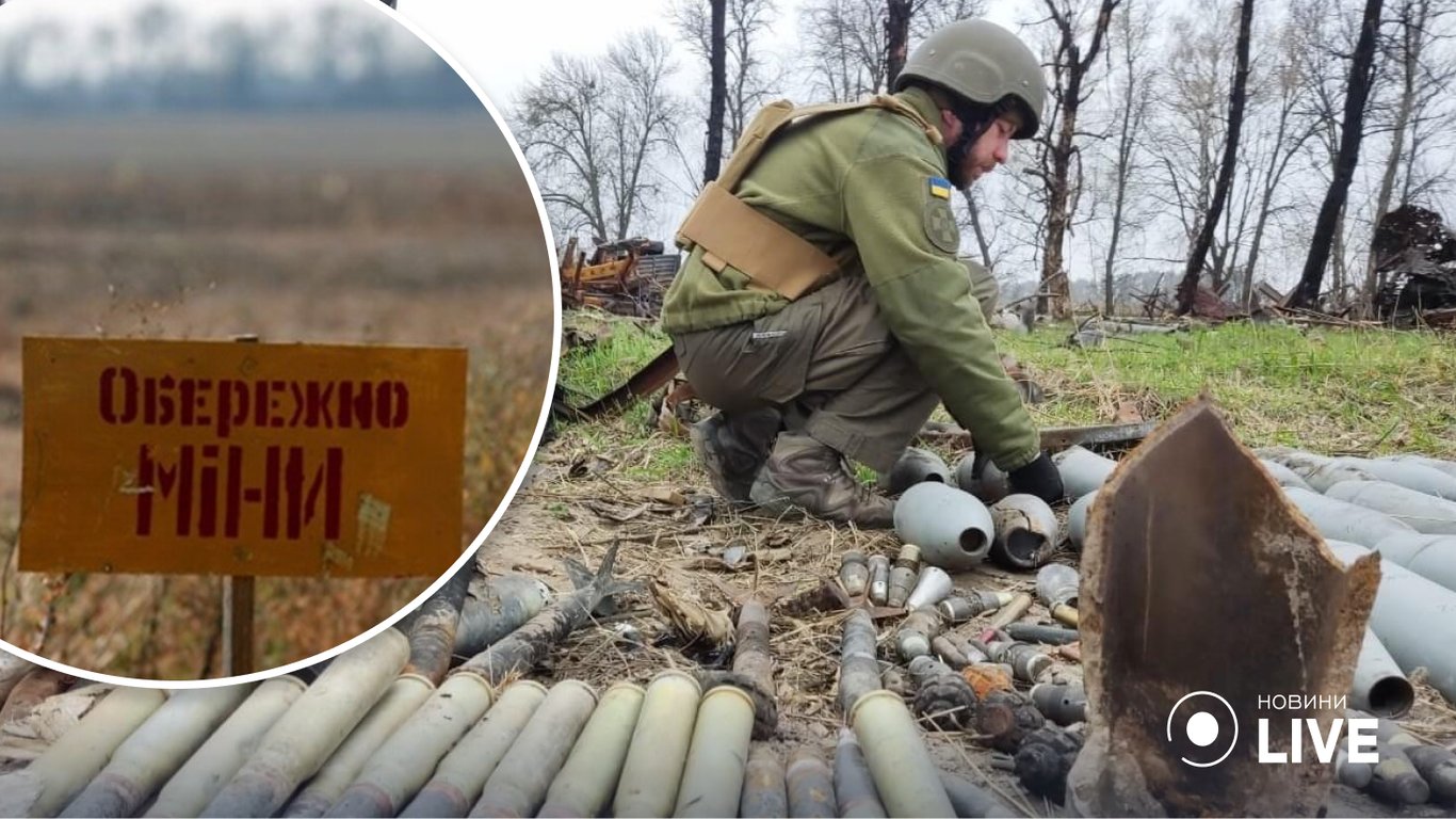 За добу піротехніки обстежили 39 гектарів української території