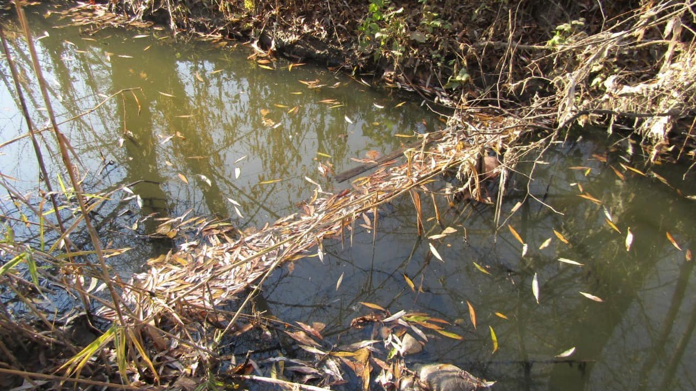 Загрязнение воды - под Киевом неизвестные загрязнили летописную реку Стугну опасными веществами