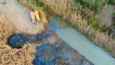 Оживлення водойм регіону: в Одеській області екологи розчистили дунайський канал. Фото - 285x160