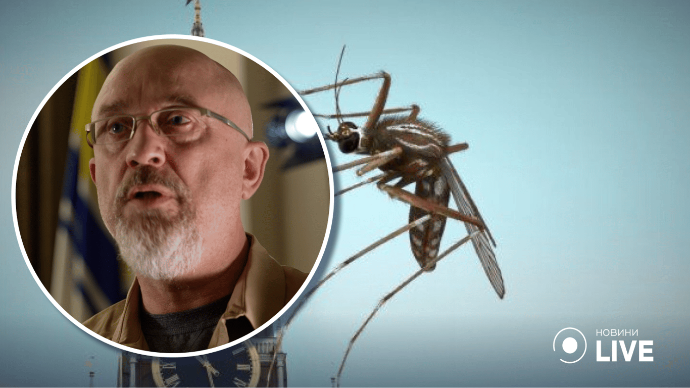 Резников анонсировал мобилизацию комаров, высмеяв российские выдумки об Украине