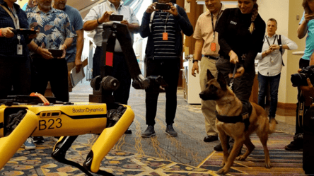 Робопсы Boston Dynamics вышли на прогулку: как на них реагируют обычные собаки. Видео - 285x160