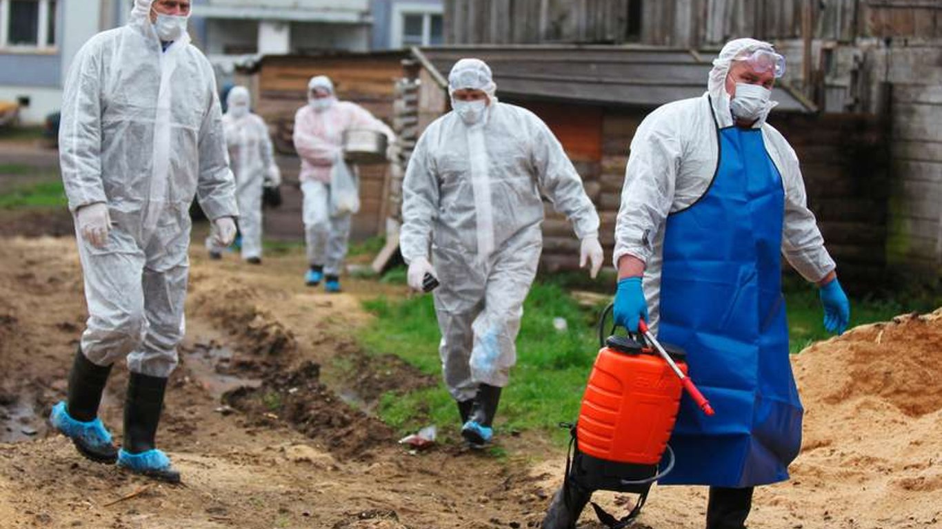 россия готовится к эпидемии холеры в областях, граничащих с Украиной