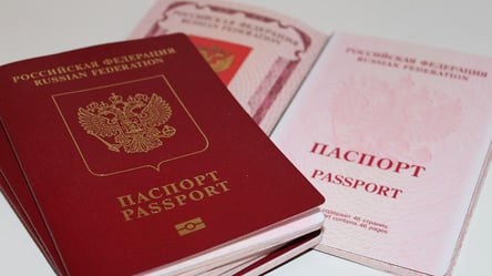 Страны Балтии ограничат въезд россиянам с действующими шенгенскими визами - 285x160