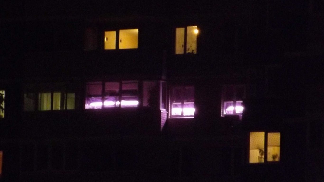 Почему окна в домах горят розовым светом: раскрываем главную загадку