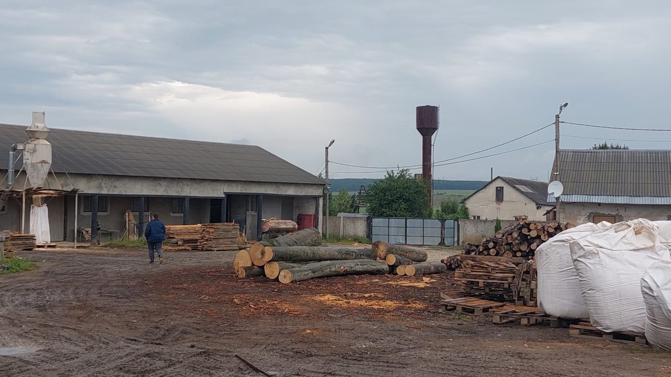 На Львовщине будут судить группу лиц за незаконную вырубку леса - информация ГБР