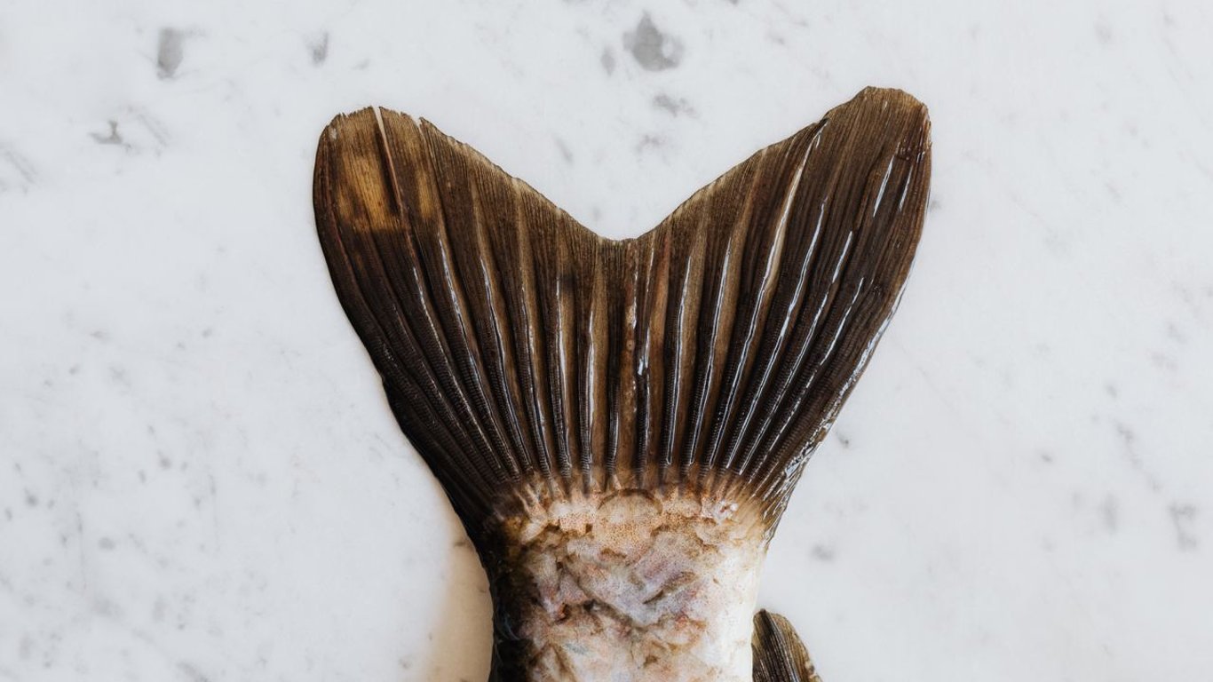 В Запорожье умерла женщина от ботулизма - съела вяленую рыбу из супермаркета