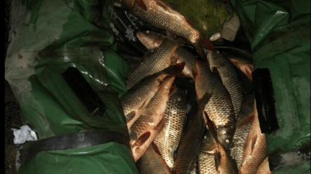 В Одеській області вночі спіймали рибалку-браконьєра: виловив риби на понад 6 тисяч гривень - 285x160