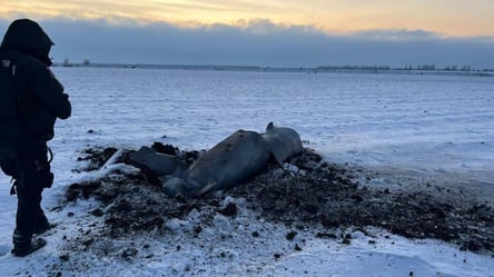 Полиция показала последствия успешной работы ПВО в Киевской области: куда упала сбитая ракета - 285x160