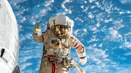 NASA и SpaceX намерены обеспечить астронавтам секс в космосе - 285x160
