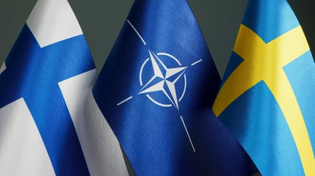 Эксперт объяснил, почему путин "проглотил" решение Швеции и Финляндии вступить в НАТО - 285x160