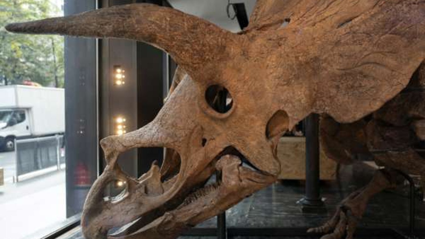 У Франції продадуть скелет дивного динозавра
