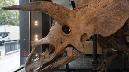 Уникальный восьмиметровый скелет динозавра продадут на аукционе во Франции - 285x160