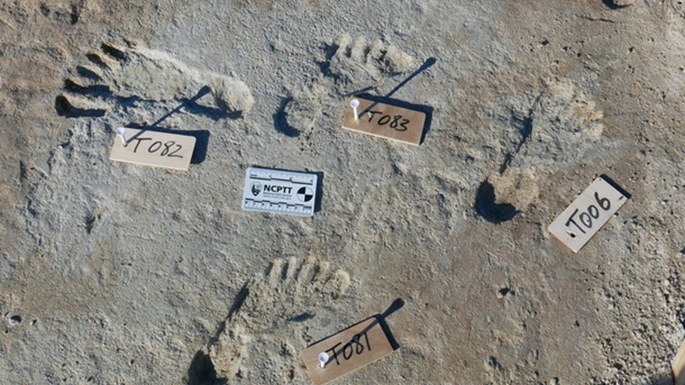 Геологи в США знайшли відбитки ніг віком понад 20 тисяч років