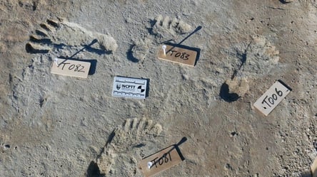 Революційне відкриття археологів: на півдні США виявлені сліди людини віком понад 20 тисяч років - 285x160